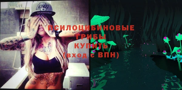 ПСИЛОЦИБИНОВЫЕ ГРИБЫ Горно-Алтайск