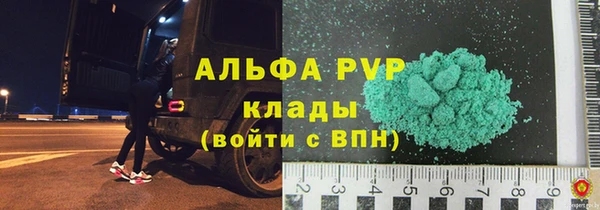 ПСИЛОЦИБИНОВЫЕ ГРИБЫ Горно-Алтайск