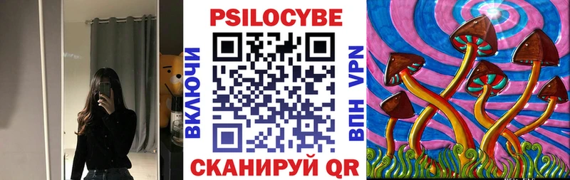 Псилоцибиновые грибы мухоморы  где купить   blacksprut зеркало  Заводоуковск 